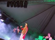 imagebam.com