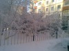 imagebam.com